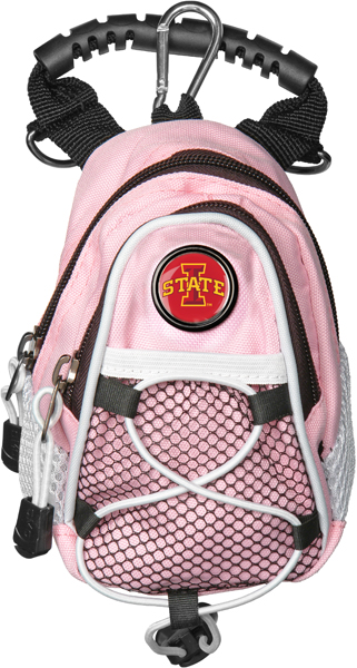 Mini Day Pack  -  Pink