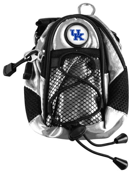 Mini Day Pack  -  Silver