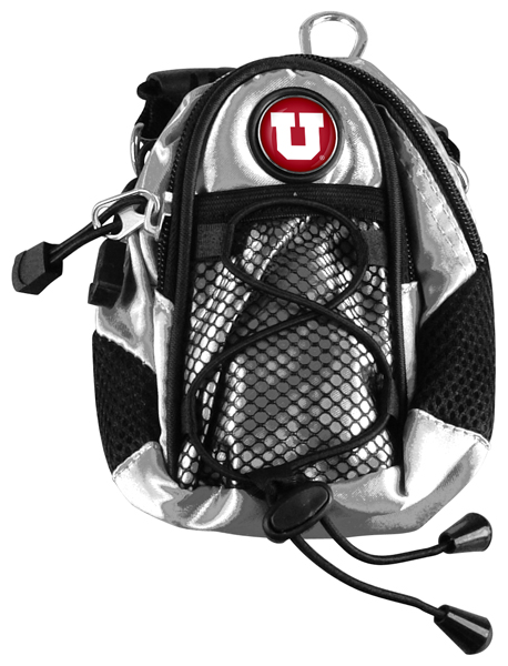 Mini Day Pack  -  Silver