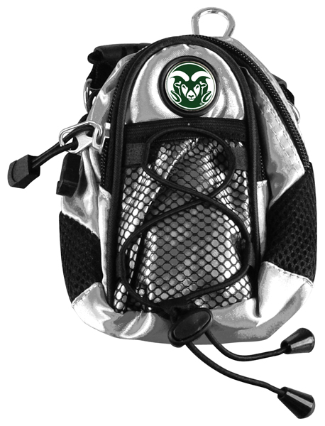 Mini Day Pack  -  Silver
